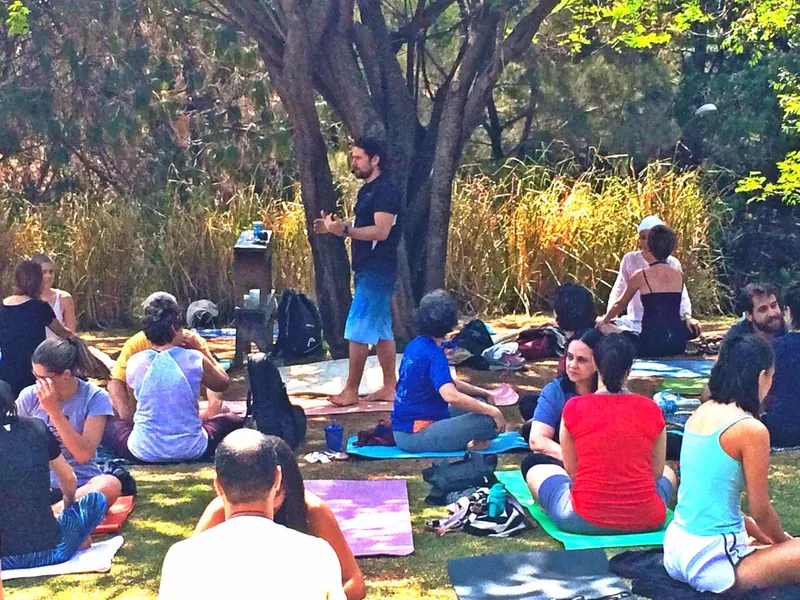 Teaching a class on mats under the trees in a park